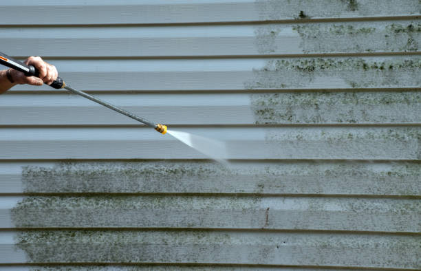 Local Pressure Washing Services in Princeville, NC